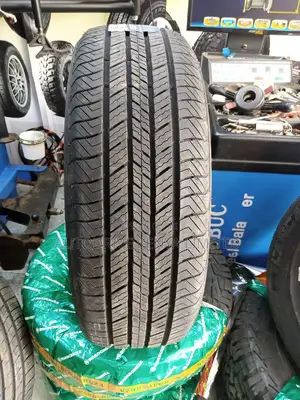 225/60r18 Lancaster Tire