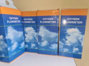 Wall Mount Flowmeter.