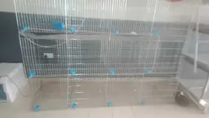 Modern Automated Rabbit Cages H Type(24-48 Rabbits Capacity)
