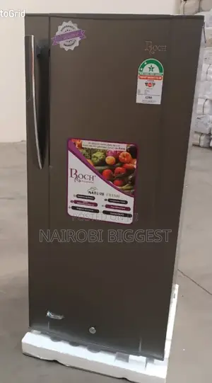 Roch 150litres Single Door Silver Refrigerator