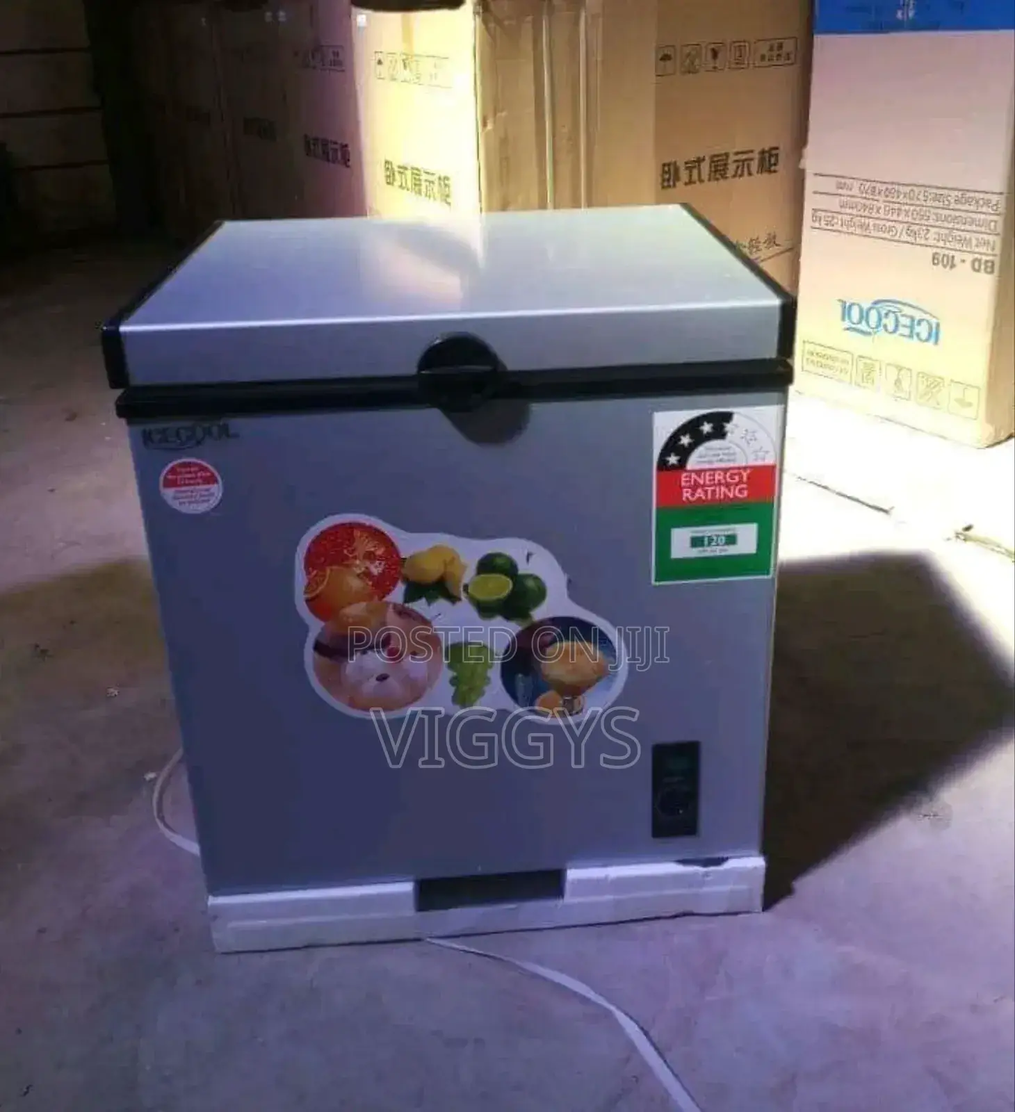 Authentic Icecool 60 Litres Freezer