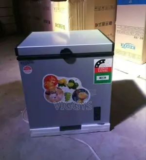 Authentic Icecool 60 Litres Freezer