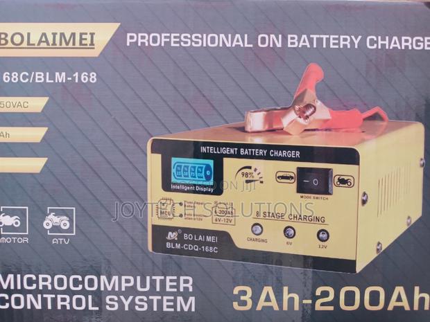 New Professional High Quality Bolaimei Car Battery Charger