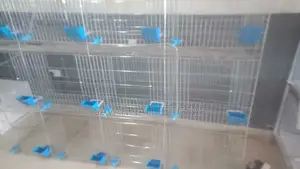 Modern Automated Rabbit Cages H Type(24-48 Rabbits Capacity)