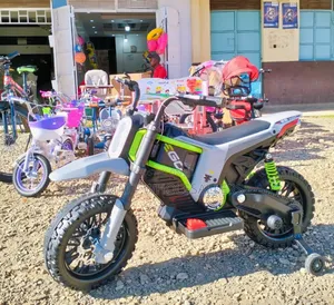 Kids Electrical Bike