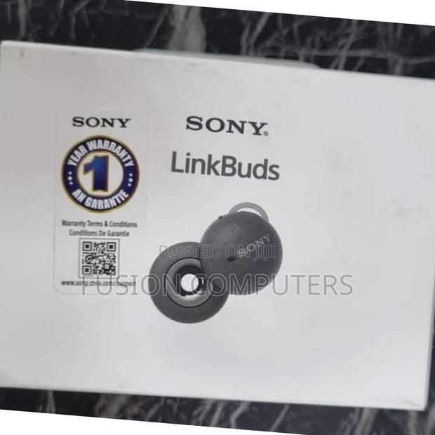 Sony WF-L900 Linkbuds True Wireless Open Earbuds - main view