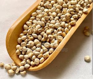 Ramses White Sorghum - main view