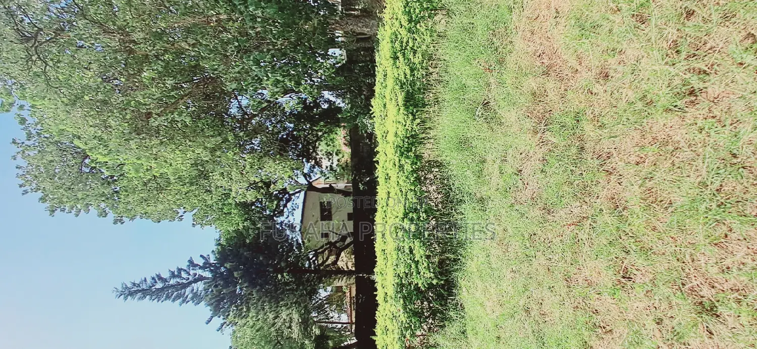 For Sale Half Acre Land Nyali