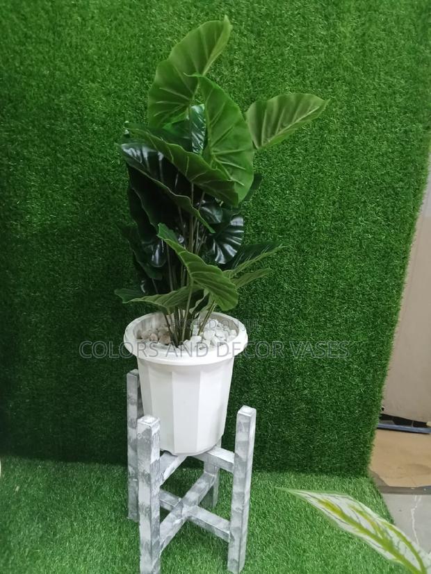 Plant on Stand With Plastic Vase and Stones - main view