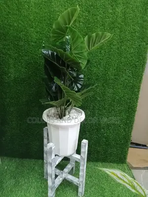 Plant on Stand With Plastic Vase and Stones