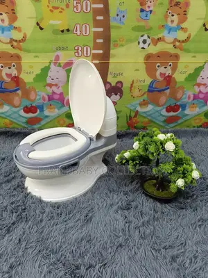 Grey and White Baby Potty Training Seat