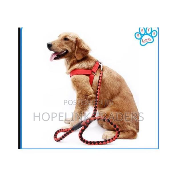 Dog Leash ,Double Layer - main view