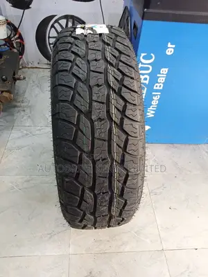 265/65r17 Terra Max All-Terrain Tire