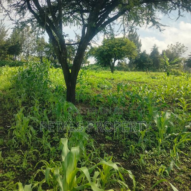 1/4 Plot for Sale in Mercy Njeri - thumbnail 2