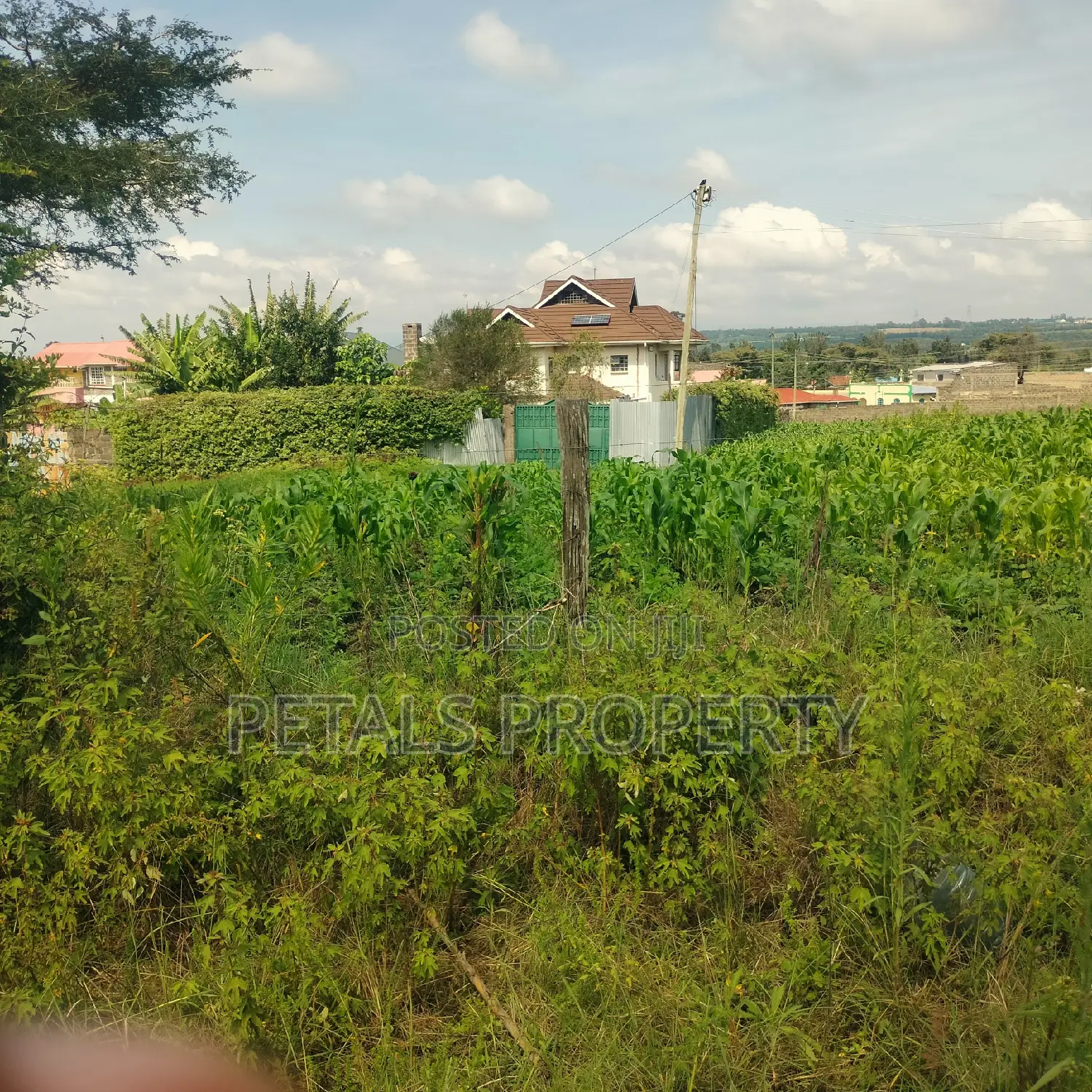 1/4 Plot for Sale in Mercy Njeri