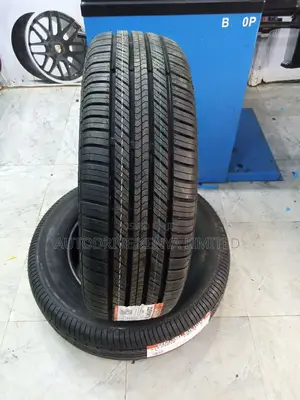 225/65r17 Double King Tyre