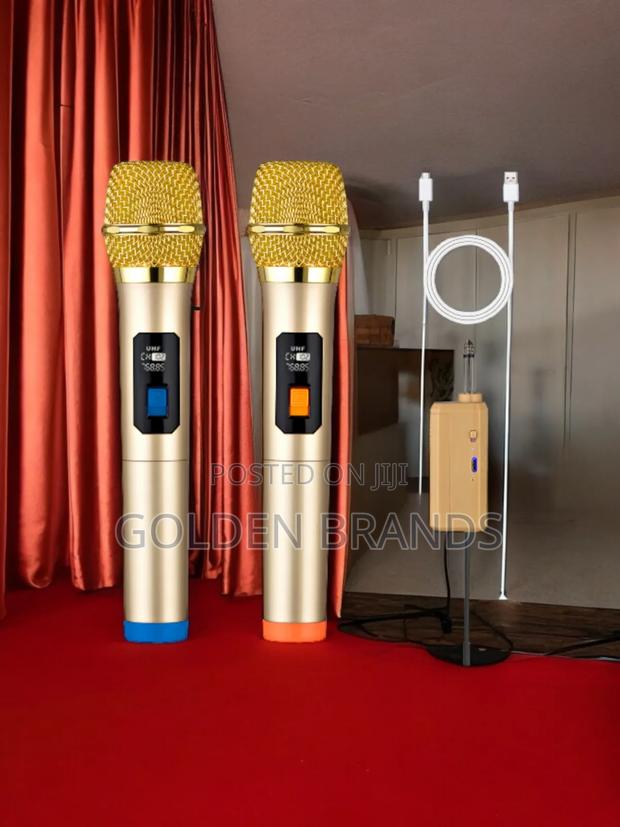Dynamic 2pcs Wireless Microphone Handheld + Receiver - main view