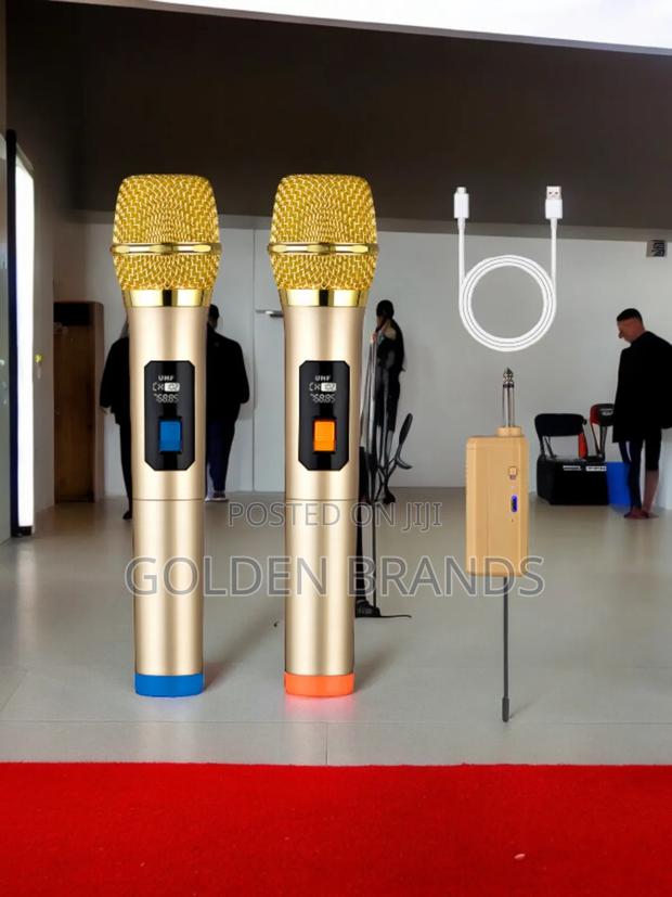 Dynamic 2pcs Wireless Microphone Handheld + Receiver - thumbnail 2