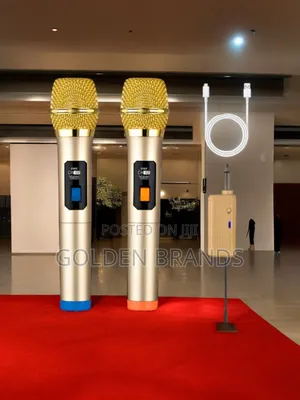 Powerful Wireless Microphone 2 PCS + Rechargeable Receiver