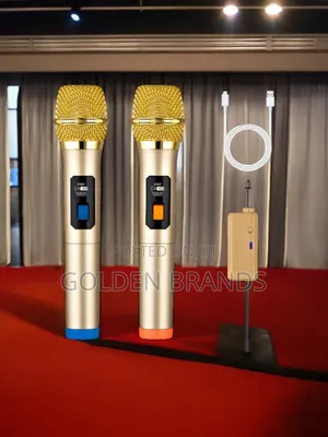 Powerful Wireless Microphone 2 PCS + Rechargeable Receiver