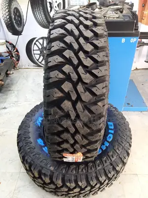 265/75r16 Maxxis Bighorn M/T Tire