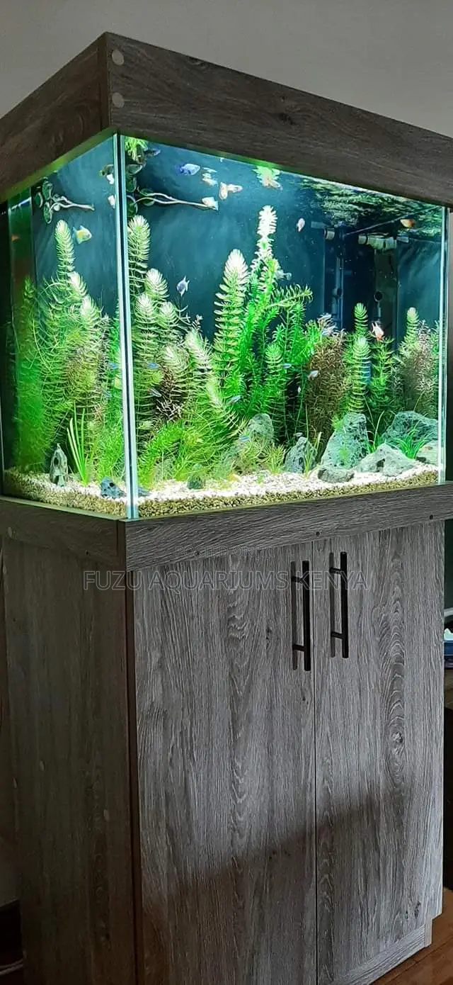 Aquarium Full of Live Plants + Cabinet