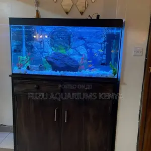 Full Deco Fish Tank Aquarium