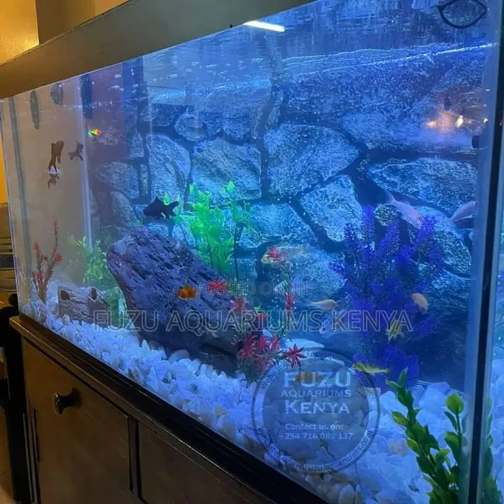 Full Deco Fish Tank Aquarium