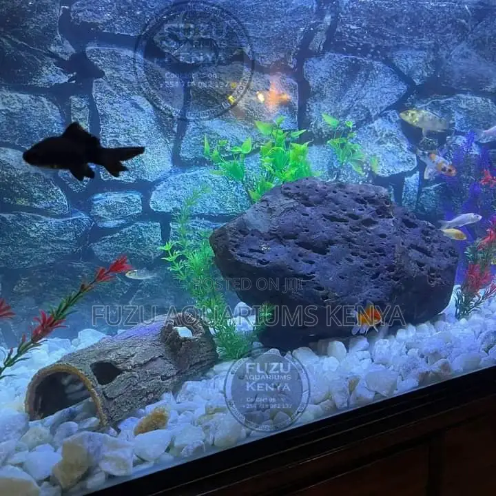 Full Deco Fish Tank Aquarium
