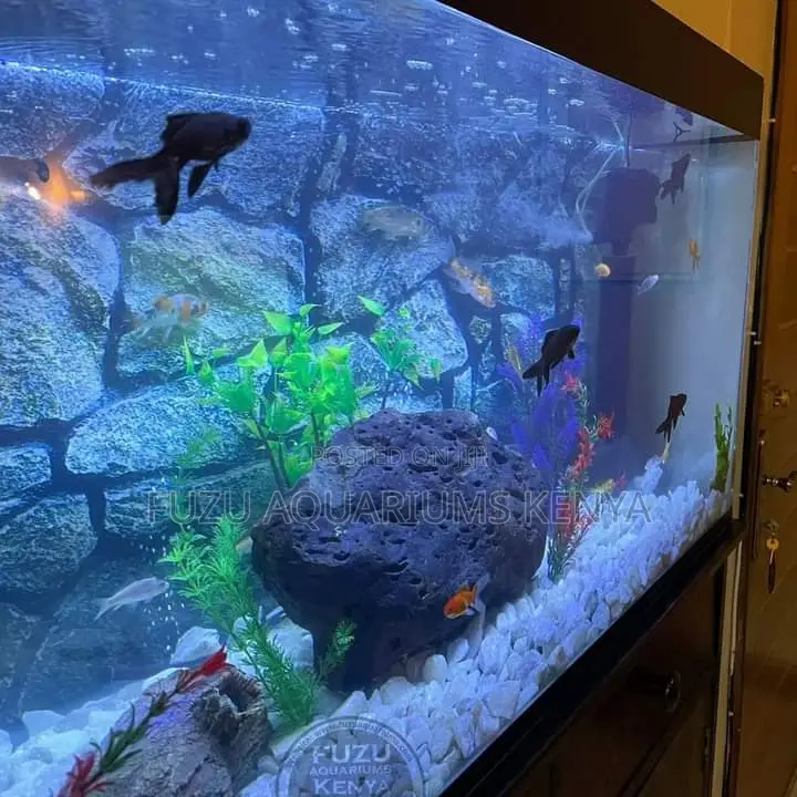 Full Deco Fish Tank Aquarium