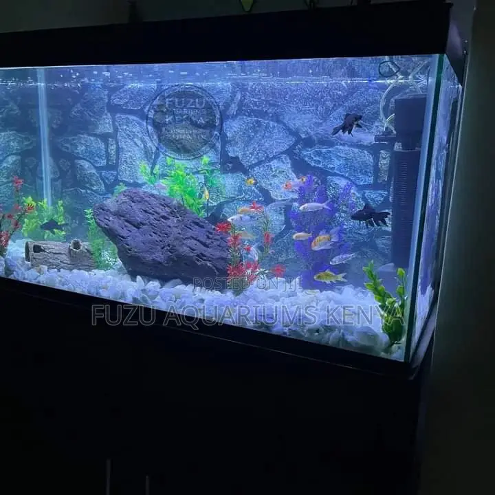 Full Deco Fish Tank Aquarium