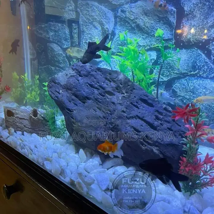 Full Deco Fish Tank Aquarium