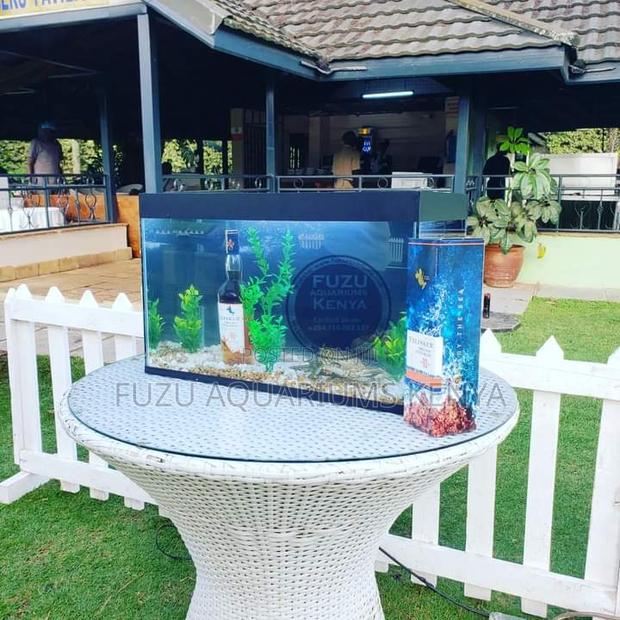 2ft Fish Tank Aquarium Fish - main view