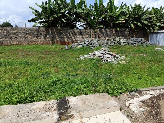 Musa Gitau Prime Land for Sale - thumbnail 4