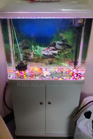 Imported Aquarium - Curved Glass - thumbnail 2