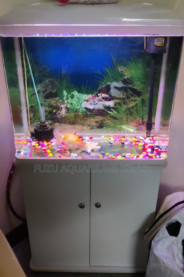 Imported Aquarium - Curved Glass