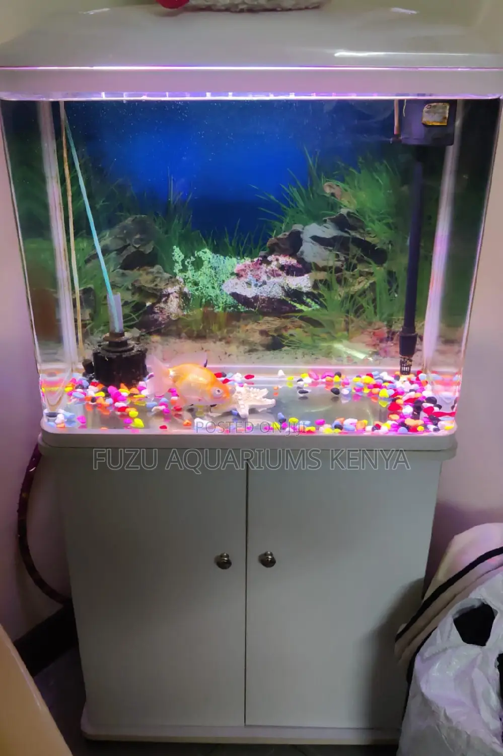 Imported Aquarium - Curved Glass