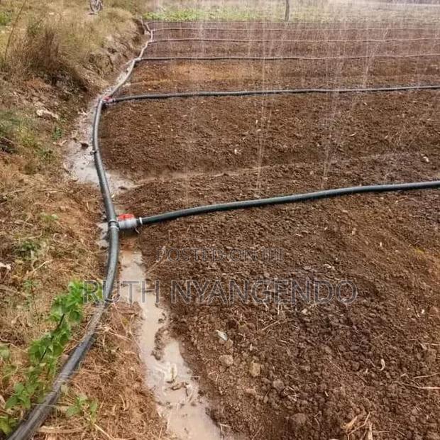 Rainhose Pipes - thumbnail 3