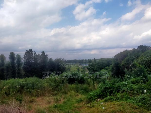 1/4 Acre Moibo Road - thumbnail 4