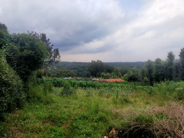 1/4 Acre Moibo Road - thumbnail 5