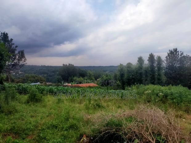 1/4 Acre Moibo Road - thumbnail 6