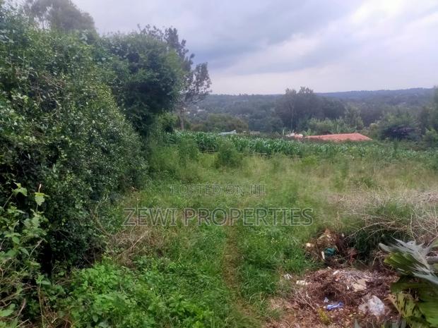 1/4 Acre Moibo Road - thumbnail 7