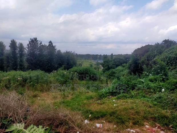 1/4 Acre Moibo Road - thumbnail 8