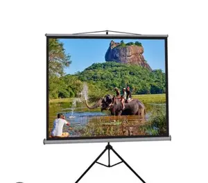 Nice Great Use of Portable Projection Screens