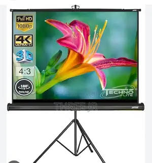 Nice Great Use of Portable Projection Screens