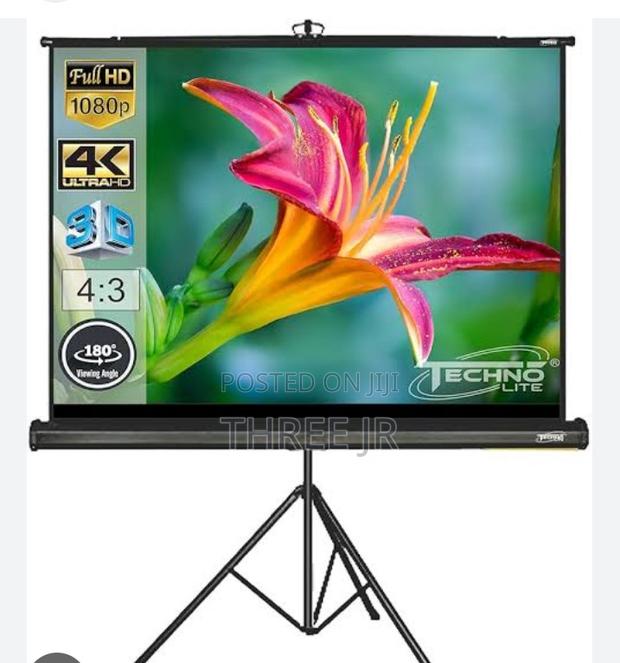 Nice Great Use of Portable Projection Screens - thumbnail 4