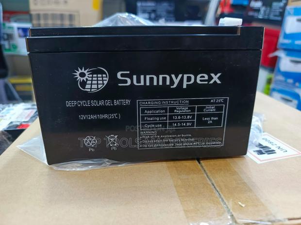 Sunnypex 12ah 12V Battery