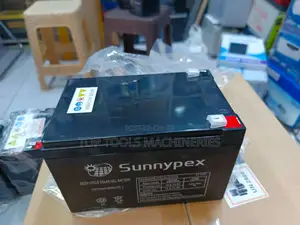 Sunnypex 12ah 12V Battery