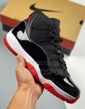 Air Jordan 11