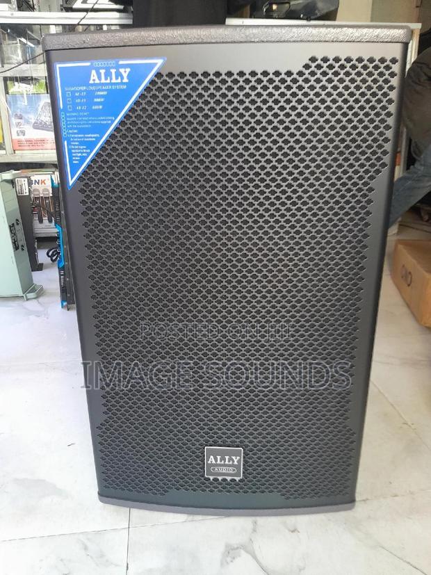Midrange Loud Speaker 1000 Watts Ally AL (Tweeter 51)